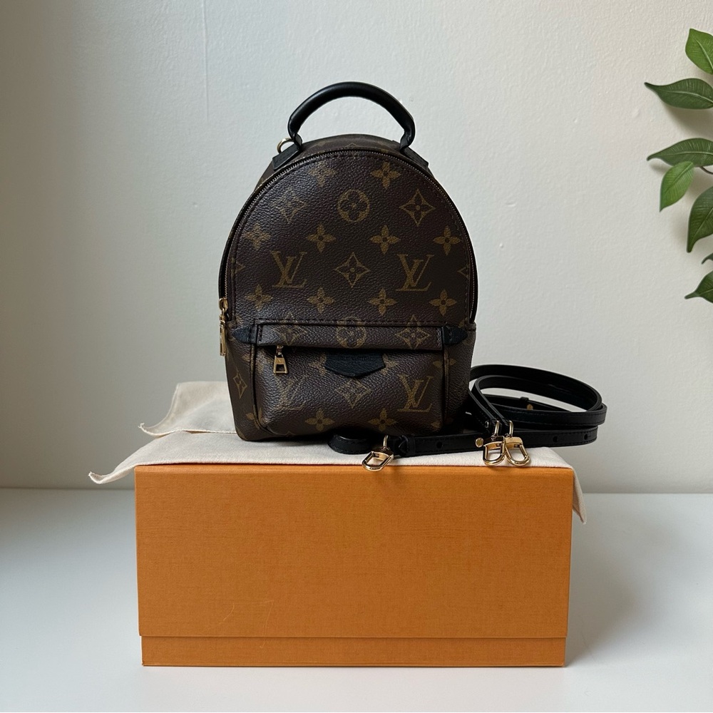 Authentic LOUIS VUITTON Palm Springs Mini Backpack